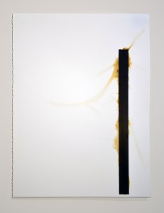 Mass Ornament/Elegy: Give Me More (240 Christian Moral and Devotional Theology) _ gunpowder, graphite, pigment on paper_ 30x22 in